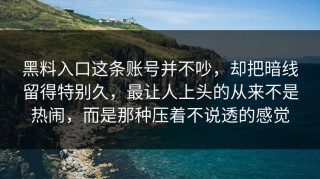 黑料入口这条账号并不吵，却把暗线留得特别久，最让人上头的从来不是热闹，而是那种压着不说透的感觉