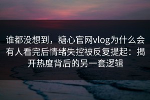 谁都没想到，糖心官网vlog为什么会有人看完后情绪失控被反复提起：揭开热度背后的另一套逻辑