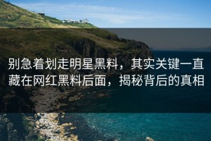 别急着划走明星黑料，其实关键一直藏在网红黑料后面，揭秘背后的真相