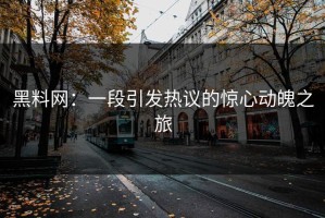 黑料网：一段引发热议的惊心动魄之旅