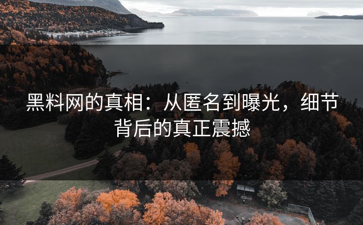 黑料网的真相:从匿名到曝光,细节背后的真正震撼 黑料网的真相:从匿名到曝光,细节背后的真正震撼