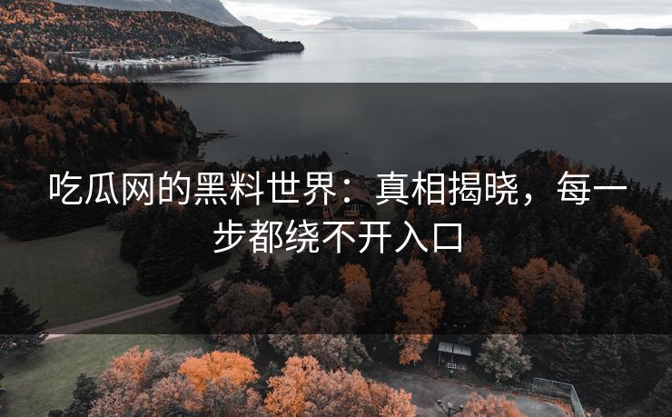 吃瓜网的黑料世界：真相揭晓，每一步都绕不开入口