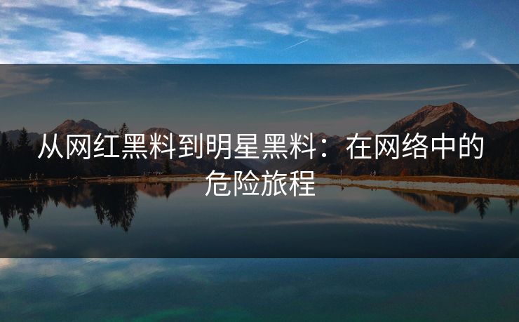 从网红黑料到明星黑料：在网络中的危险旅程