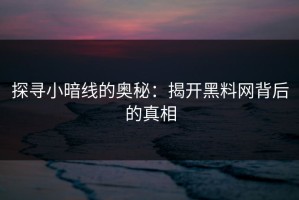 探寻小暗线的奥秘：揭开黑料网背后的真相