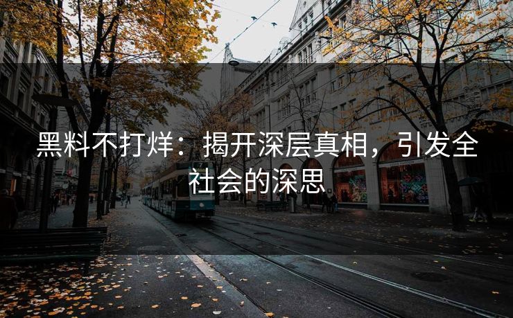 黑料不打烊:揭开深层真相,引发全社会的深思 黑料不打烊:揭开深层真相,引发全社会的深思