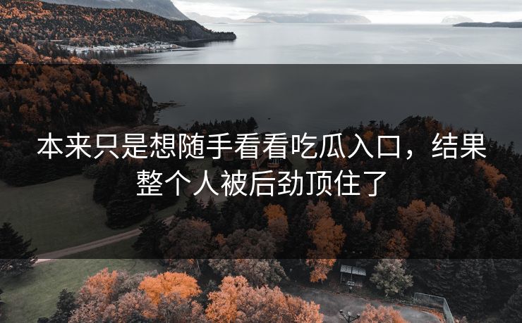 本来只是想随手看看吃瓜入口,结果整个人被后劲顶住了 本来只是想随手看看吃瓜入口,结果整个人被后劲顶住了